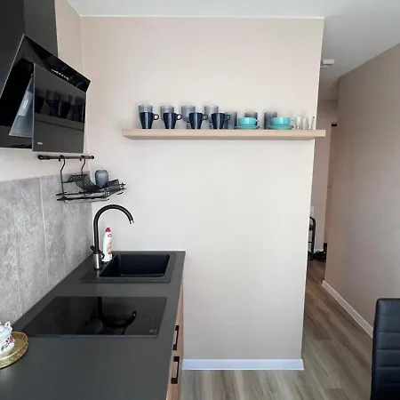 Berzu Apartment Ventspils Exterior photo